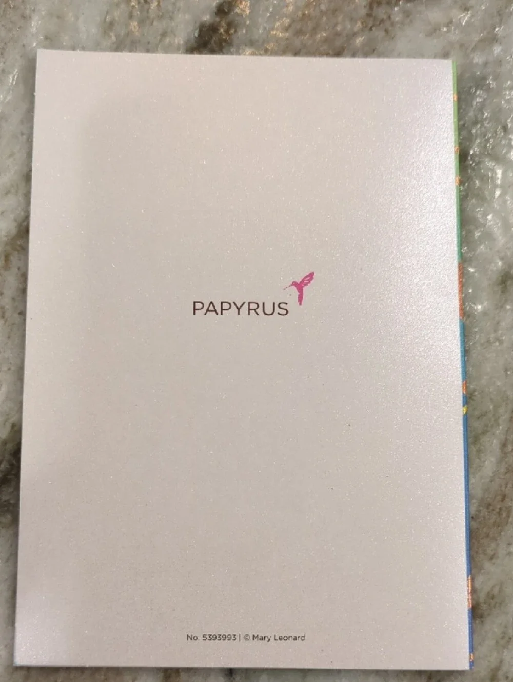 Papyrus Holographic Teal & Rainbow Hummingbird Note Card Set